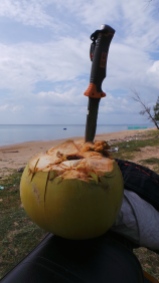 My First Coconut in Vietnam