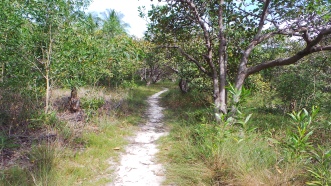Path I rode through a Rambutan Orchard to find a secluded beach